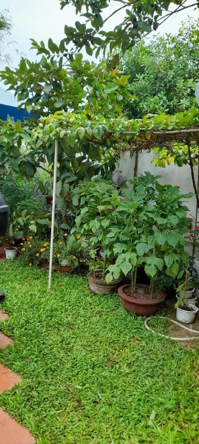 Appartement Star Garden Hội An Extérieur photo