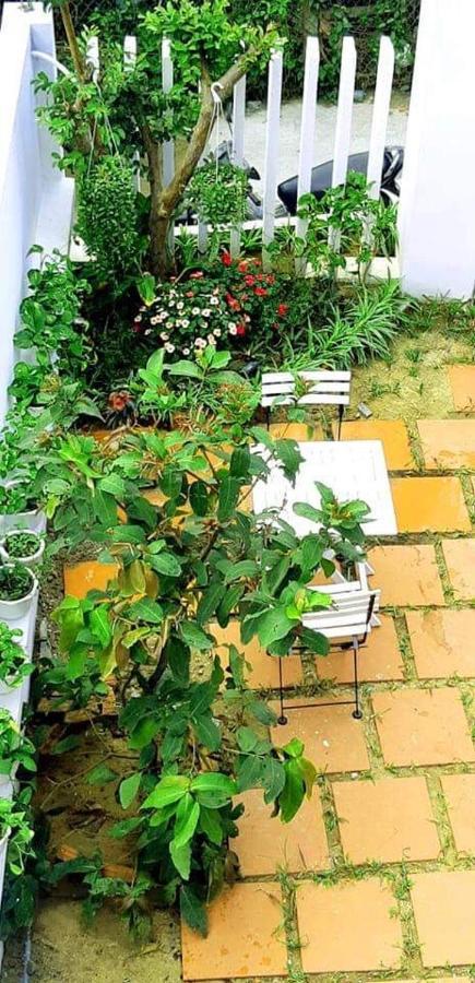 Appartement Star Garden Hội An Extérieur photo
